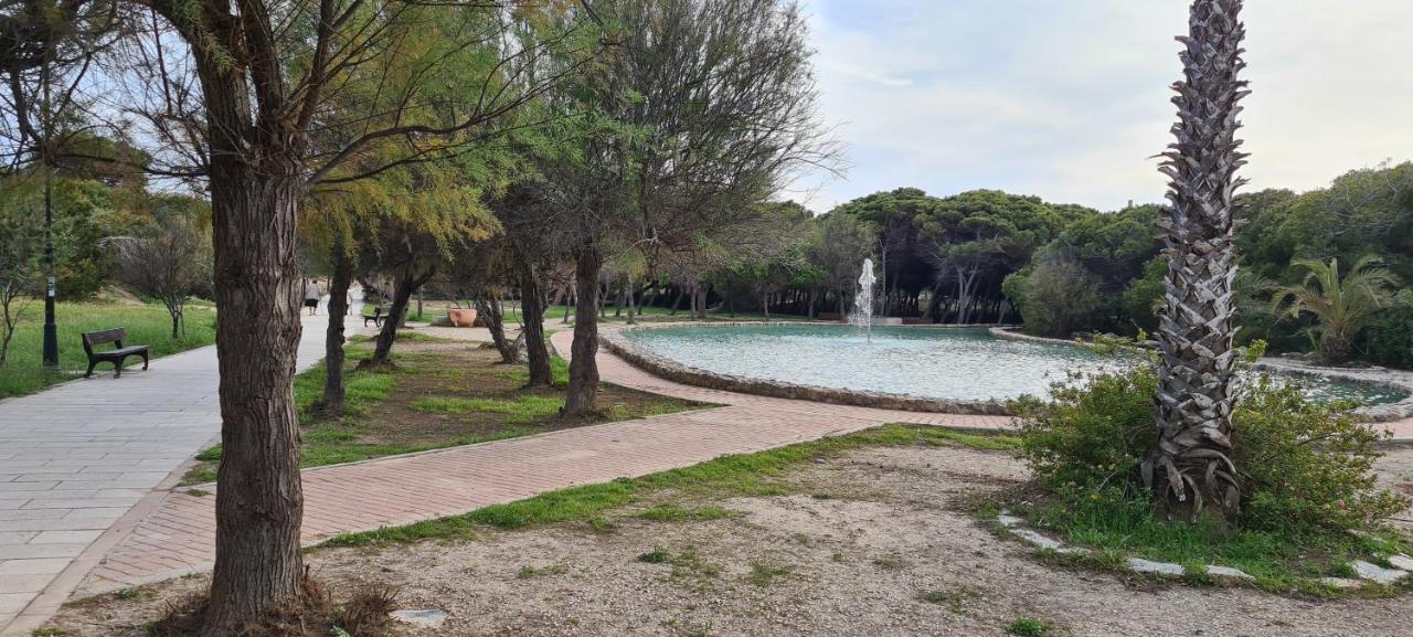 Sofia La Mata Apartment La Mata  Ngoại thất bức ảnh
